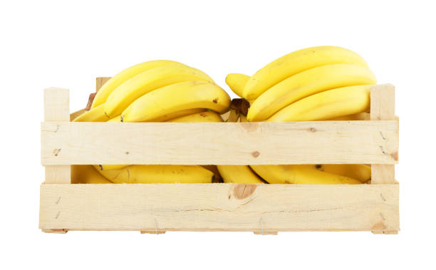 Wooden box with rope bananas isolated on white background
