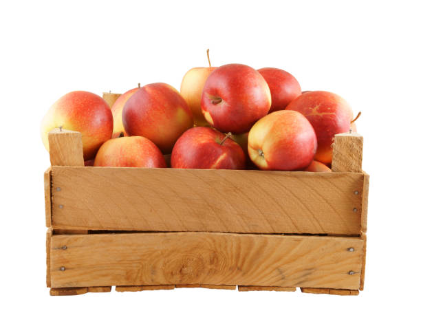 istock Wooden crate with apples isolated on white 1203327065