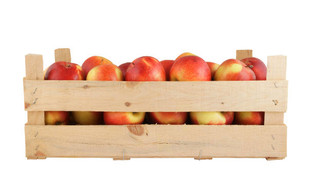 istock Wooden crate with apples isolated on white 1203327098