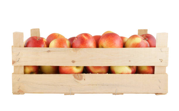 istock Wooden crate with apples isolated on white 1203327123
