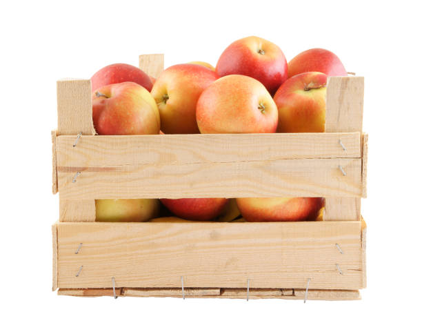 istock Wooden crate with apples isolated on white 1203327132