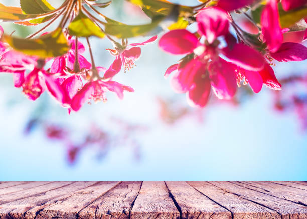 istock Spring nature background with pink flowers and wooden table top 1203328063