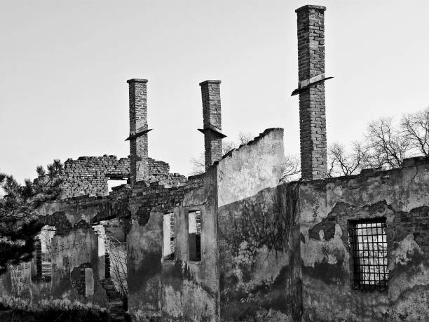 istock Residuals from destroyed low building in a fire (Picture No 03) 1203328681