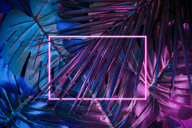 istock Tropical leaf background. Leaves and branches of palm trees. Neon frame blank space for text, flat lay, view from above. 1203329048