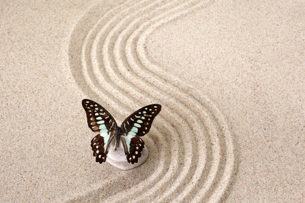 istock Zen garden meditation stone for concentration and relaxation with butterfly. Top view 1203329855
