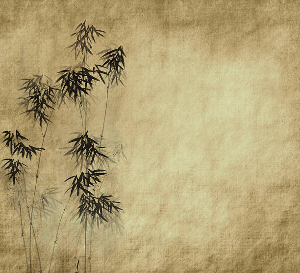 istock bamboo on old grunge antique paper texture 120333137