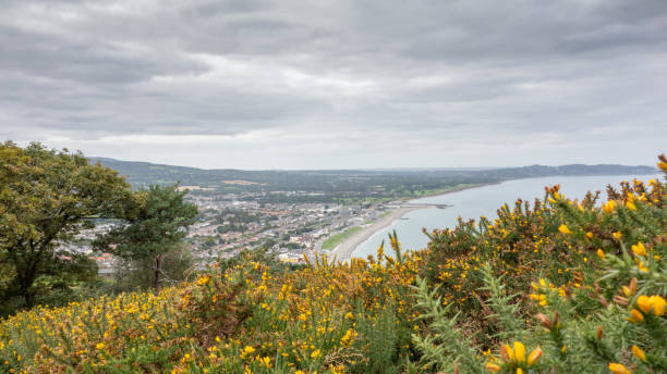istock Bray Town, Wicklow, Ireland 1203333288