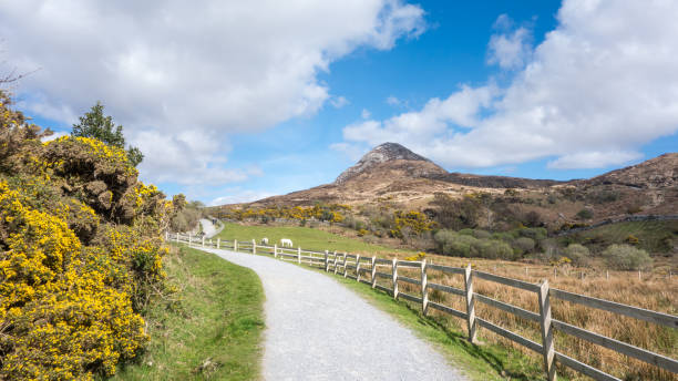 istock Diamond Hill, Connemara, Ireland 1203333448