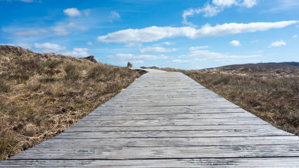 istock Boardwalk at Diamond Hill, Connemara, Ireland 1203333528