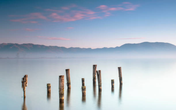 istock Poles in the water 1203333635