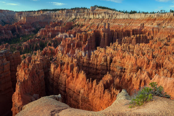 Scenery in Bryce Canyon National Park, under warm sunrise light,USA