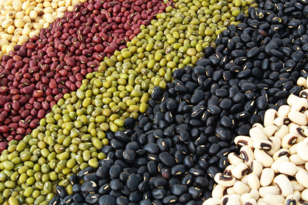 istock Assortment of beans 1203335709