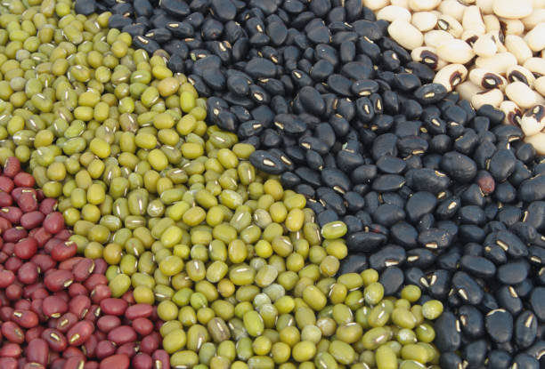 Assortment of beans Different types of beans as background organic red cowpea beans stock pictures, royalty-free photos & images
