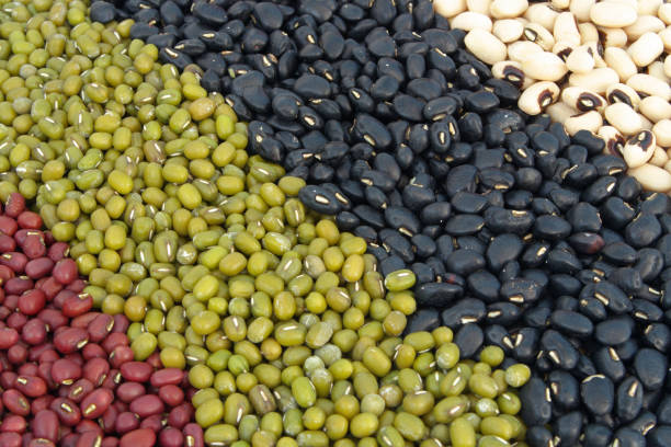 Assortment of beans Different types of beans as background organic red cowpea beans stock pictures, royalty-free photos & images
