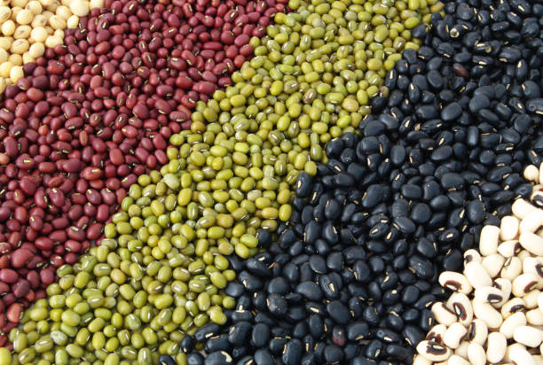 istock Assortment of beans 1203335874