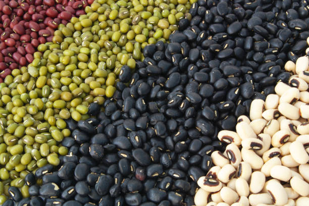 Assortment of beans Different types of beans as background organic red cowpea beans stock pictures, royalty-free photos & images