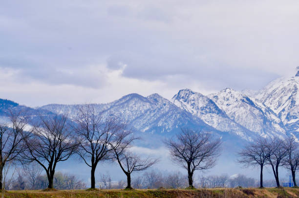 Urasa area @ Niigata