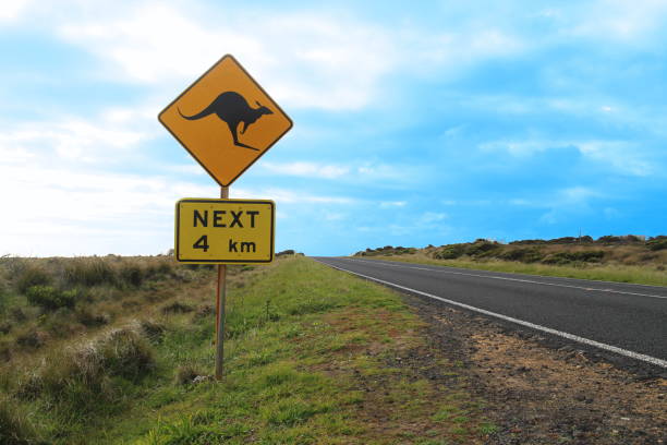 istock Kangaroo crossing road signs in Australia 1203338260