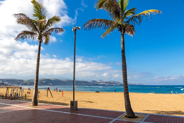 istock Las Canteras Beach in Las Palmas de Gran Canaria, Spain 1203339404