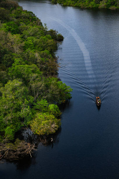 istock Aerial view of a canoe over the river 1203340587