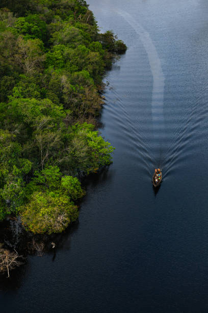 istock Aerial view of a canoe over the river 1203340641