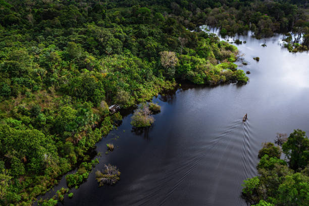 Aerial view of the Archipelago of Anavilhanas, in the Amazon rainforest, which shows a canoe snarhand the river.