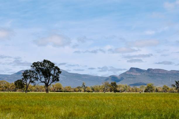 istock Grampians National Park, Australia 1203344840
