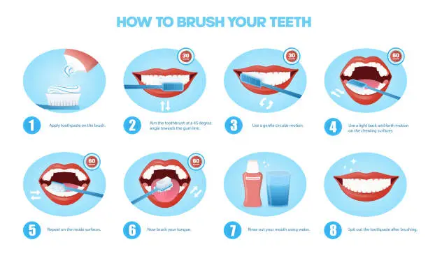 Vector illustration of Sequence of designs showing how to brush teeth