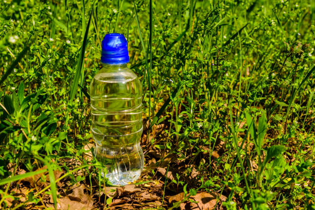 istock Plastic bottle with the clear water in green grass 1203345967