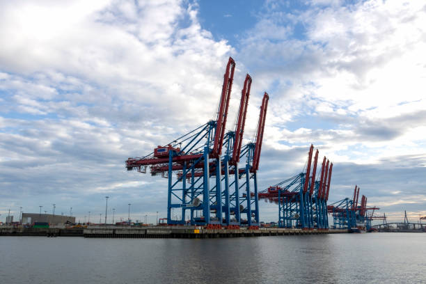istock Cranes in the port 1203346997