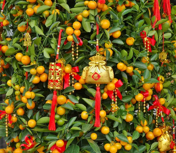 A mandarin orange tree with Chinese New Year's decorations and symbols