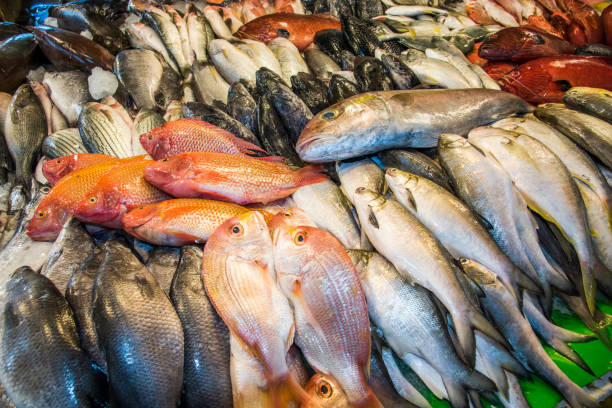 Fresh raw Fish at the fish market.
