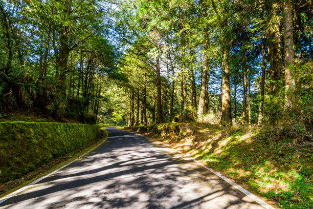 istock Mountain of asphalt road in green forest 1203350767