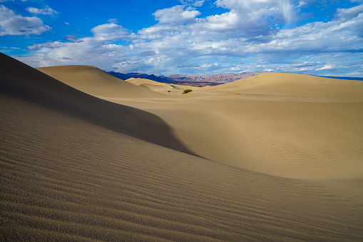 mesquite flat sand dunes in death valley national park in california in the usa