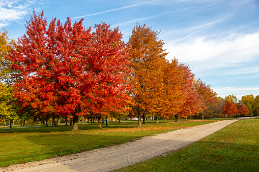 This fall color park view was absolutely gorgious