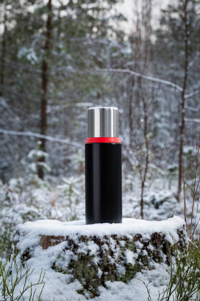 istock Thermos stands on an old stump in the forest. 1203353205