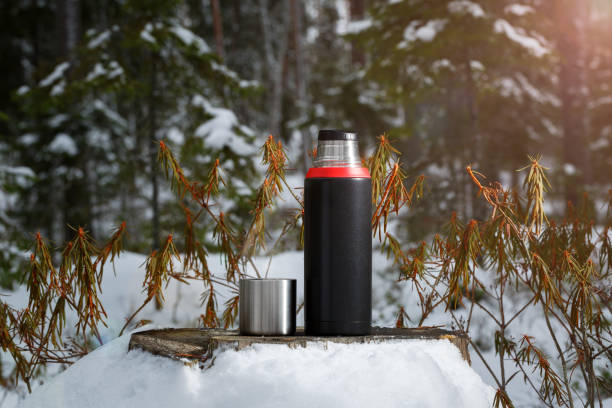 istock Thermos stands on an old stump in the forest. 1203353263