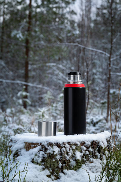 istock Thermos stands on an old stump in the forest. 1203353284
