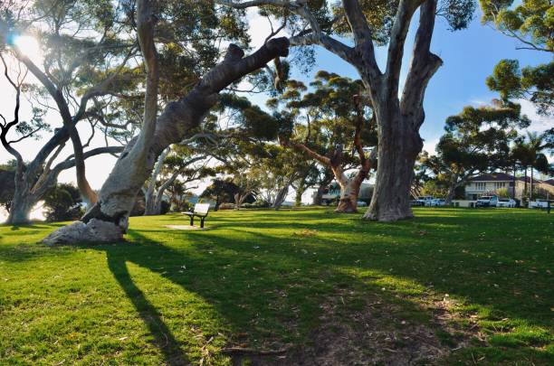 Perth, Australia Perth is the capital of Western Australia and is the 4th largest city in Australia. claremont showgrounds stock pictures, royalty-free photos & images