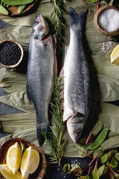 istock Raw uncooked fish sea bass 1203363181