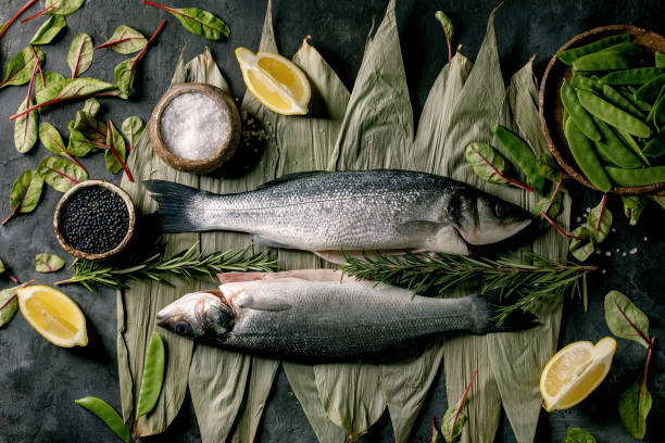 istock Raw uncooked fish sea bass 1203363190