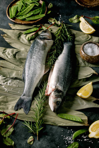 istock Raw uncooked fish sea bass 1203363196