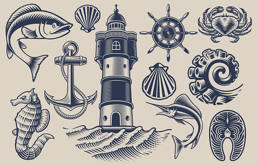 Set of vector design elements for seafood theme on a light background