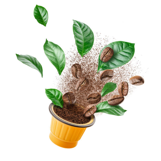 istock Exploded view of coffee grinder with roasted beans and leaves 1203365600