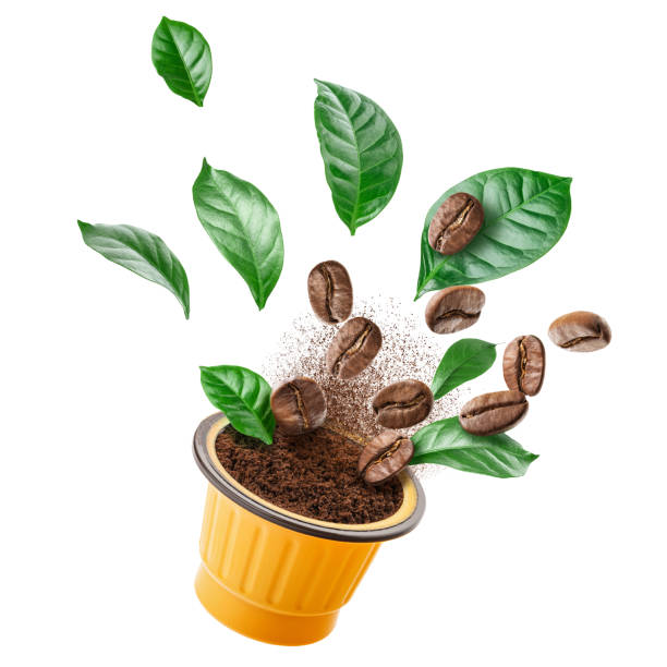 Exploded view of coffee grinder with roasted beans and leaves