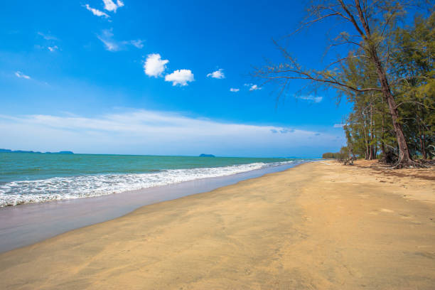 istock Hawaii Islands, Pacific Islands, Beach, Autumn, Wave - Water 1203366828