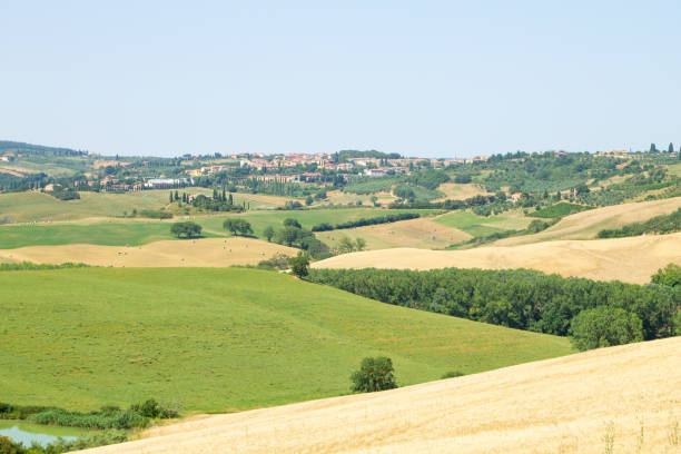 istock Tuscany hills panorama summer view, Italian landscape 1203366908