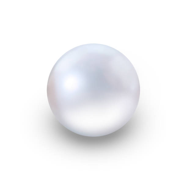 istock Realistic white pearl with shadow isolated on white background 1203368109