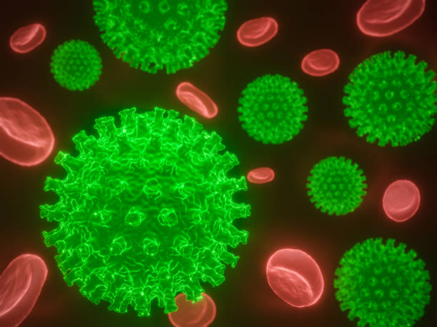 istock Coronavirus cells in human body. Respiratory virus in microscopic view. 1203370482