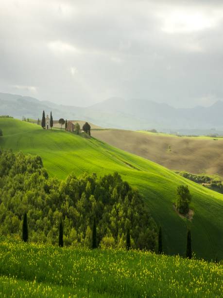 istock green hills in Tuscany 1203371970